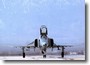 USAF F-4 #8
