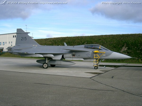 gripen_24.jpg