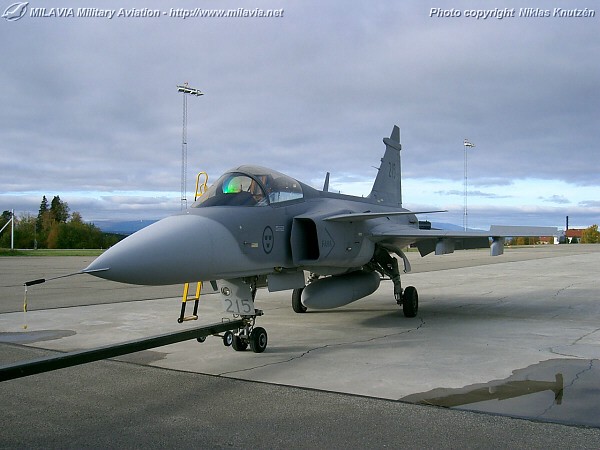 gripen_25.jpg