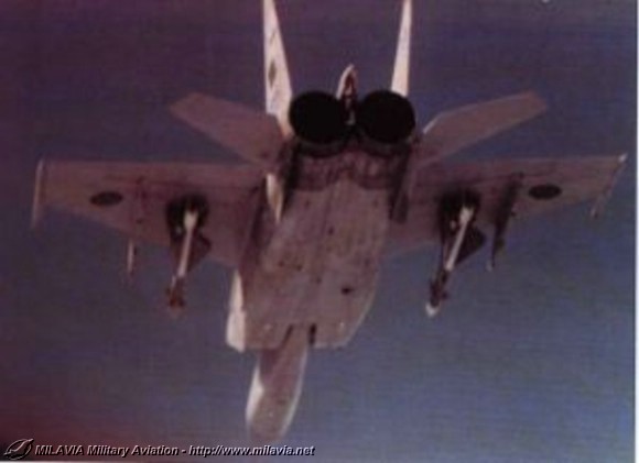 mig-25_l02.jpg