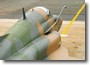 f-5_13.jpg