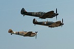 Two of the four Spitfires and the Buchn Bf109 copy