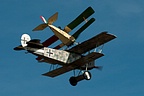 Fokker D.VII and Nieuport 11 Bb