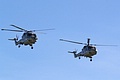Lynx helicopters of the Royal Navy Black Cats Display Team, No. 815 NAS HMA.8, XZ732/314 (left) and No. 702 NAS HAS.3S, XZ234/630 (right).
