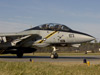 F-14 Tomcat 