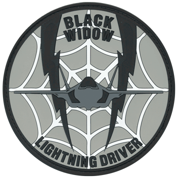 Black Widow Lightning Driver badge 421st FS
