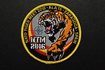 NATO Tiger Meet 2016 patch