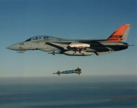 picture courtesy of US Navy F-14