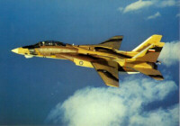 F-14 Iran