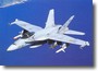 fa-18_sp01.jpg