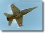 fa-18_sw07.jpg