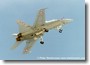 fa-18_sw08.jpg