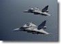 gripen_04.jpg