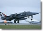 jaguar_09