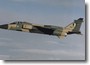 jaguar_n01