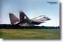 mig-29 #10