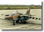 Su-25 #8