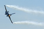 rnlaf_f-16_3.jpg