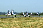 turkish_stars_1.jpg