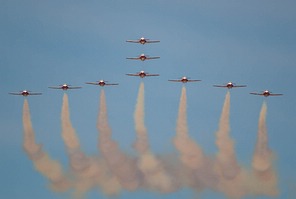 Snowbirds CT-114