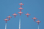 Snowbirds CT-114