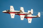 Snowbirds CT-114