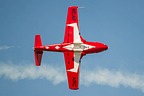 Snowbirds CT-114