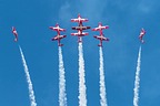 Snowbirds CT-114