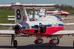 Snowbirds CT-114