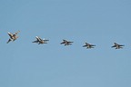 RCAF CF-188s F-16s