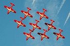 RCAF Snowbirds