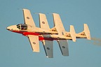 RCAF Snowbirds