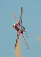 RCAF Snowbirds