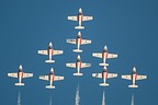 RCAF Snowbirds