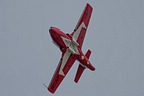 Snowbirds CT-114