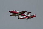 Snowbirds CT-114