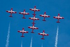 Snowbirds CT-114