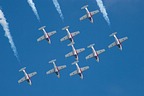 Snowbirds CT-114