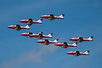 Snowbirds CT-114