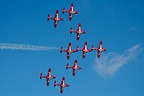 Snowbirds CT-114