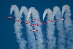 Snowbirds CT-114