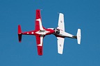 Snowbirds CT-114