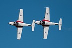 Snowbirds CT-114