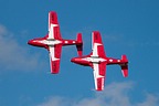 Snowbirds CT-114