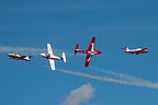 Snowbirds CT-114