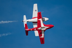 Snowbirds CT-114