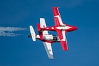 Snowbirds CT-114