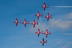 Snowbirds CT-114