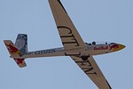 Luca Bertossio glider display.