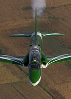 Saudi Hawks